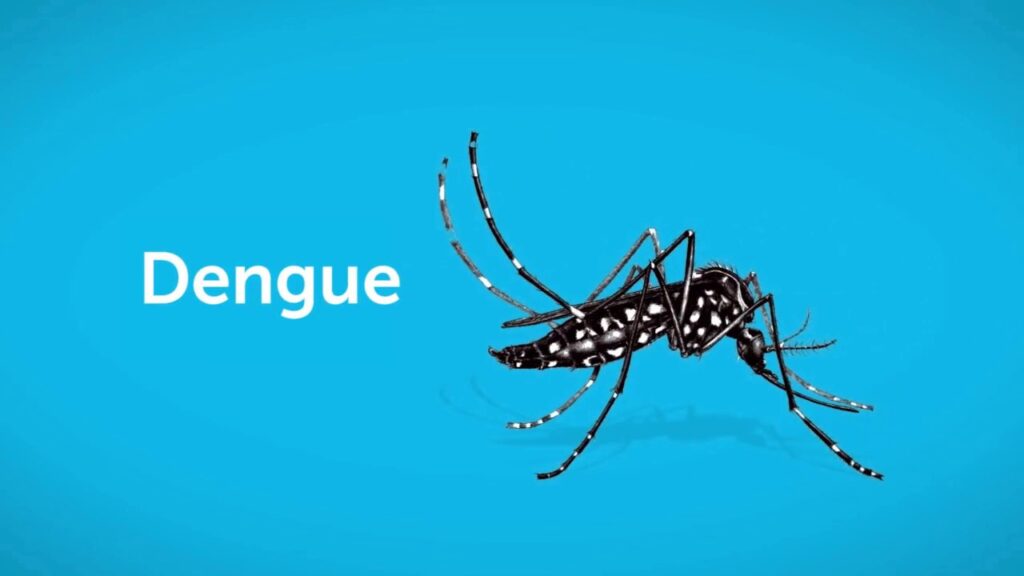 ¿Se viene el verano “rompehuesos”? Esto advierten sobre el dengue