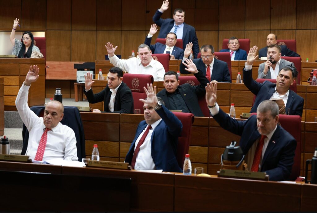 Senadores destituyen a Kattya Gonzalez