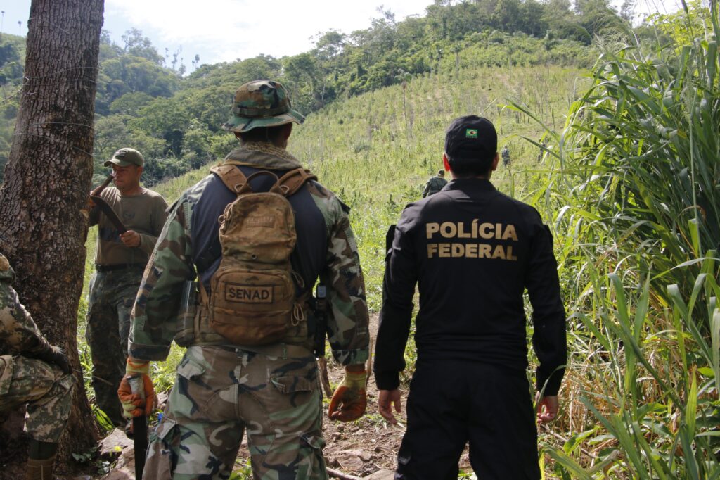 Paraguay y Brasil actúan contra el narcotráfico