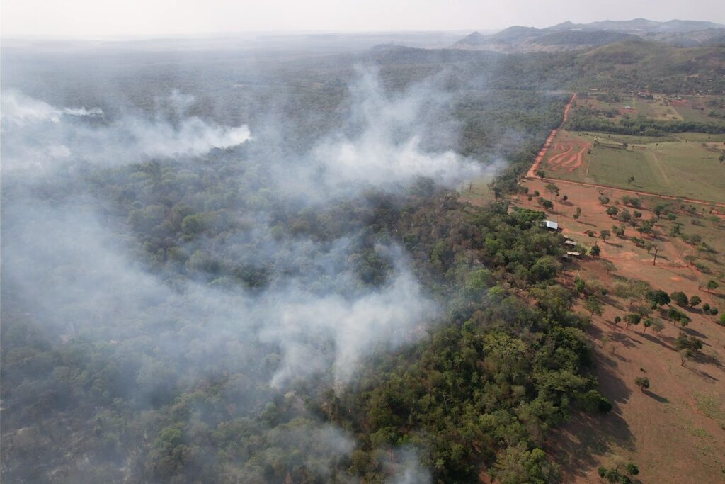 Emergencia general por incendio forestal en el Parque Nacional Cerro Corá
