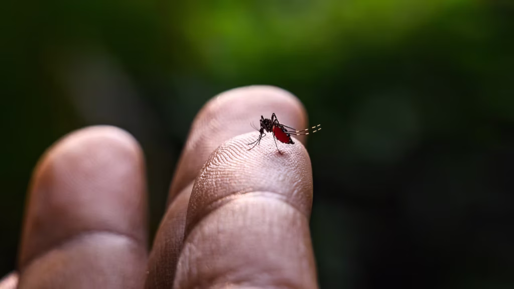 Aumento de casos de dengue en 13 regiones del país