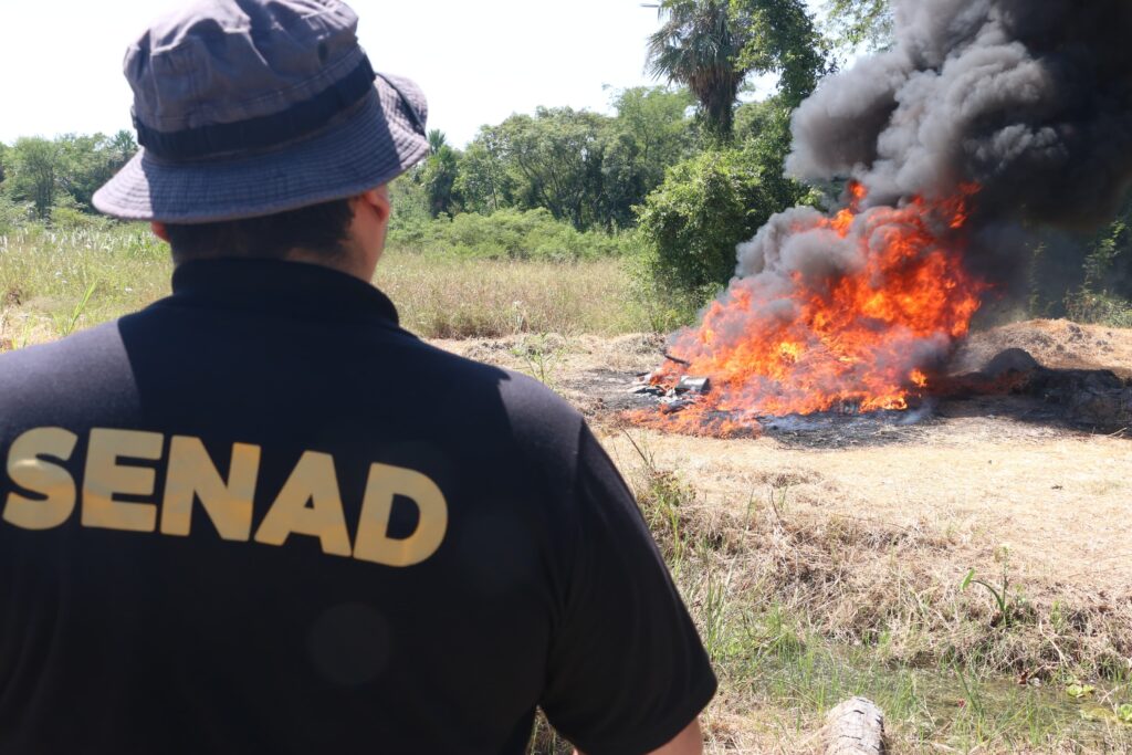 Senad incineró más de 13 millones de dólares en drogas