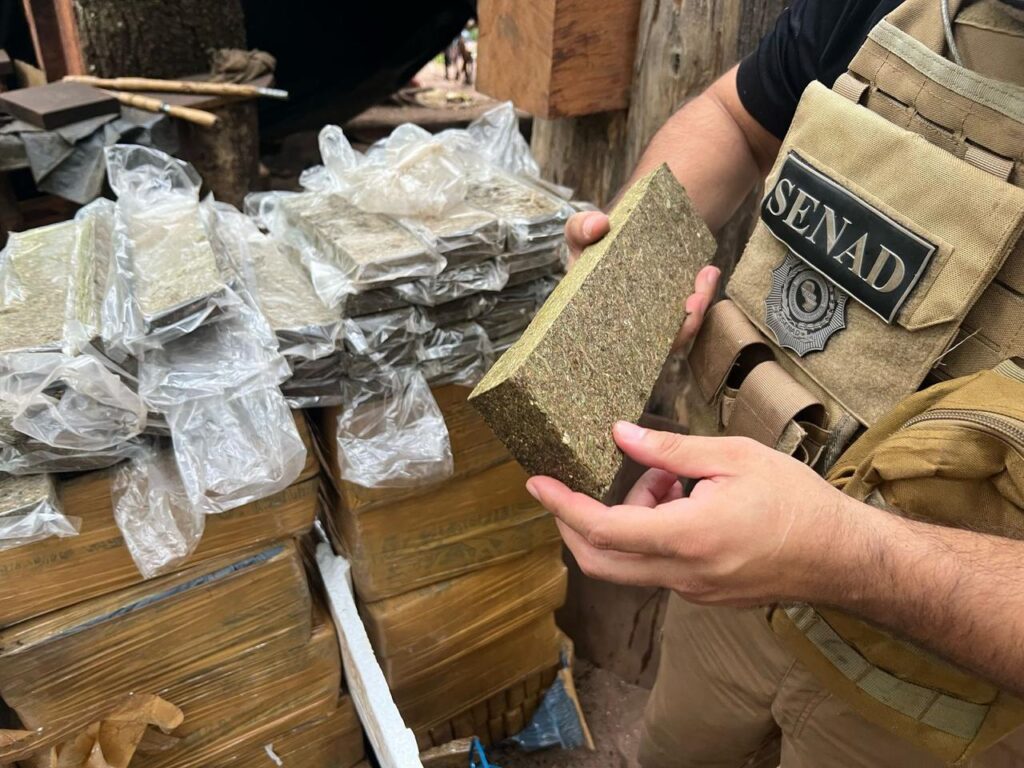 Golpe al narcotráfico: Destruyen campamentos en Cerro Guasú