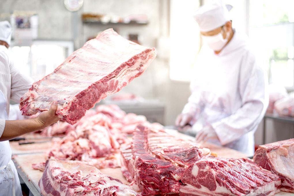Exportaciones cárnicas mantienen impulso y registran incrementos significativos